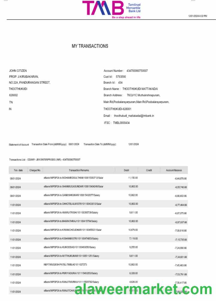 India TAB bank statement Word and PDF template, 2 pages